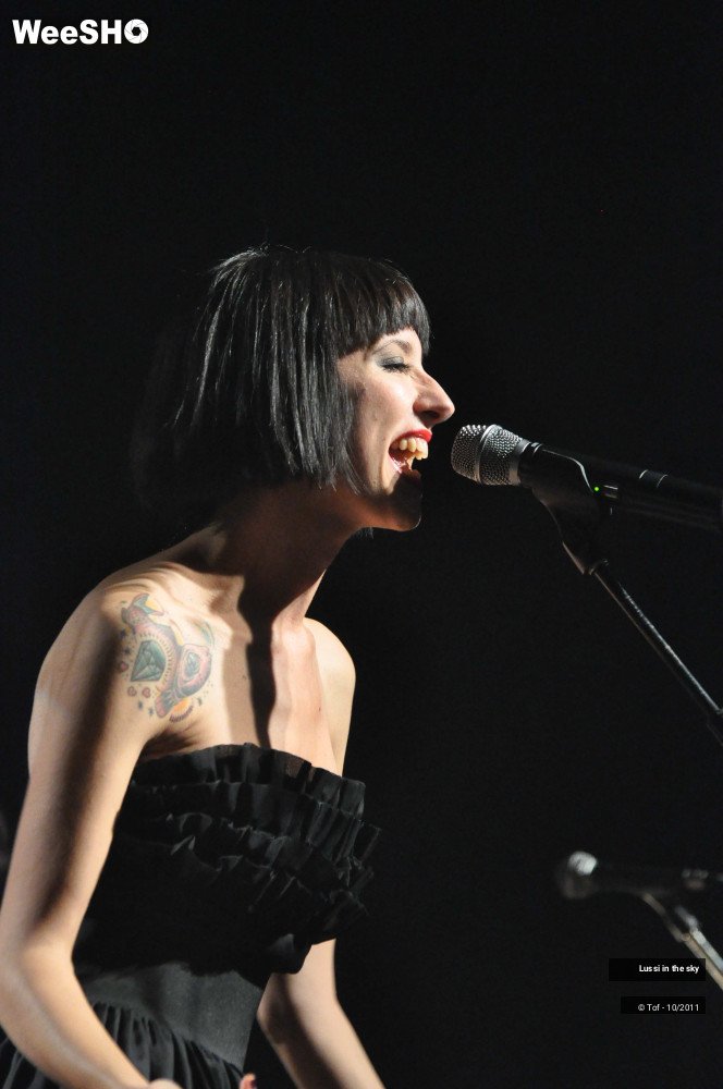 35/38 photos du spectacle Lussi in the sky