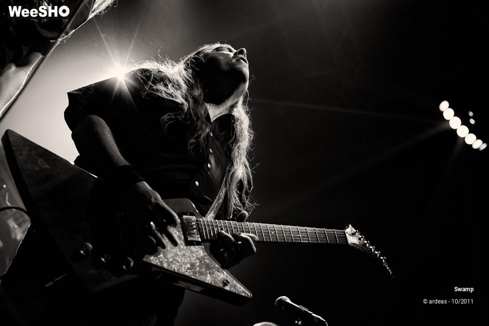 2/43 photos du spectacle Swamp