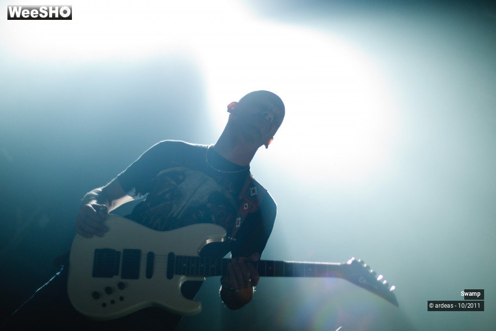 3/43 photos du spectacle Swamp