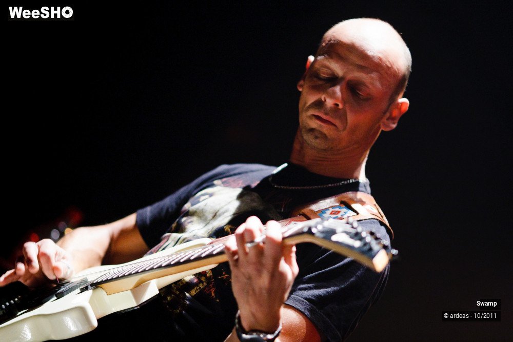 16/43 photos du spectacle Swamp