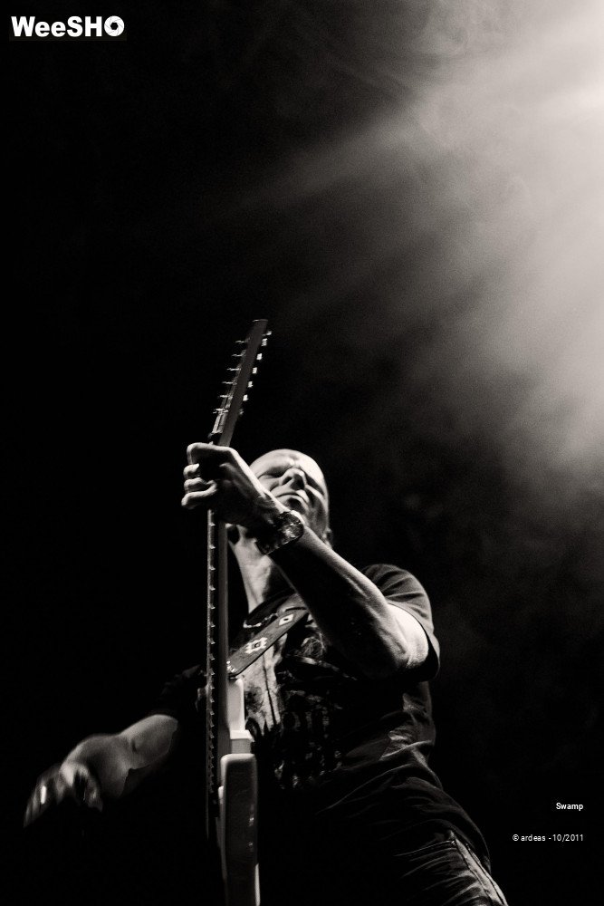 22/43 photos du spectacle Swamp