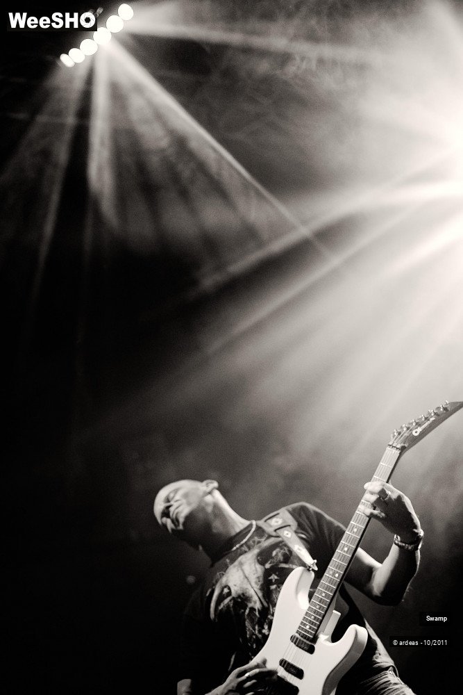 25/43 photos du spectacle Swamp