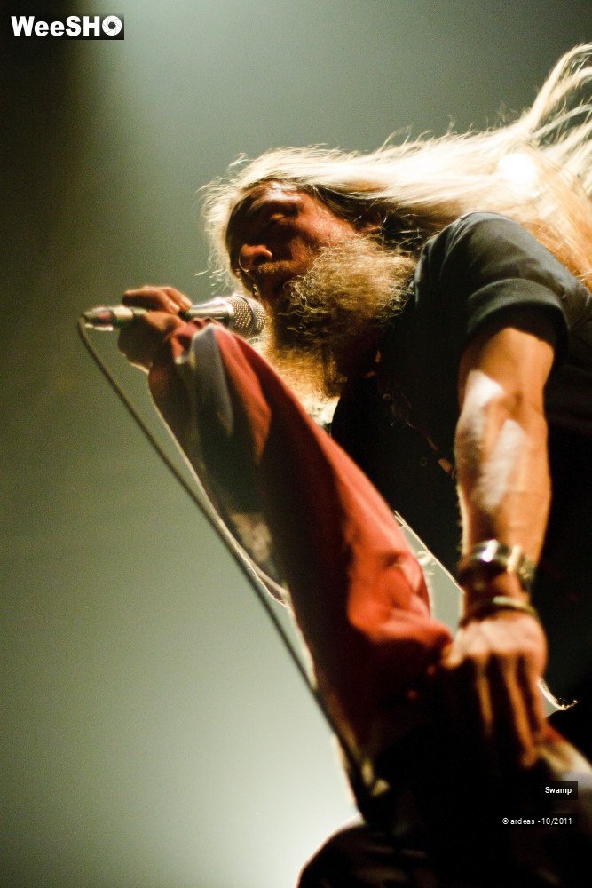 31/43 photos du spectacle Swamp