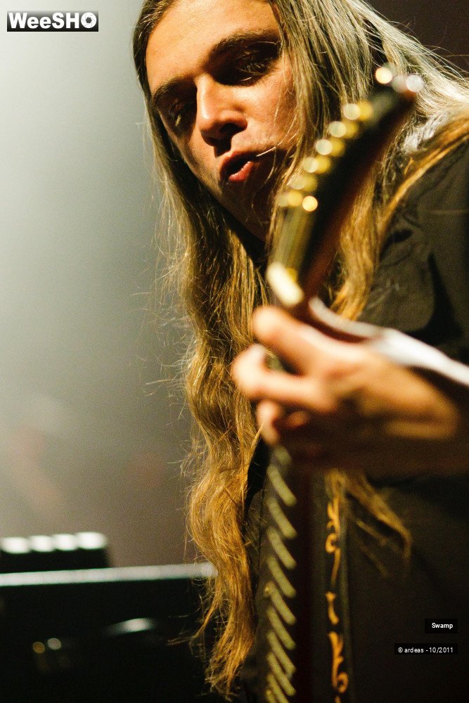 33/43 photos du spectacle Swamp