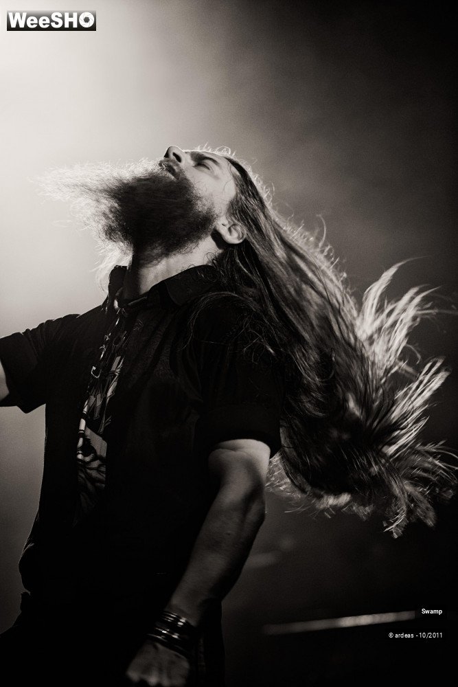 34/43 photos du spectacle Swamp