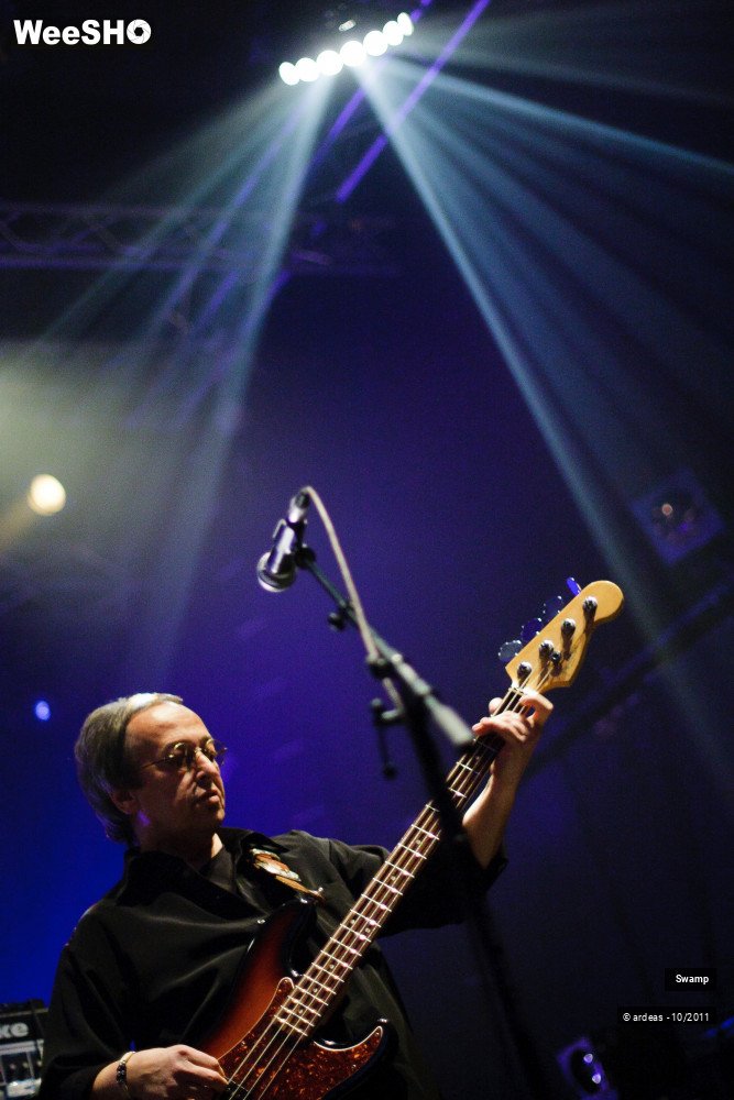 41/43 photos du spectacle Swamp