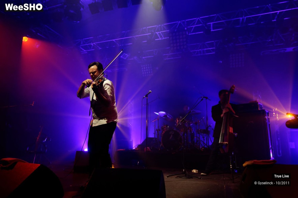 15/24 photos du spectacle True Live