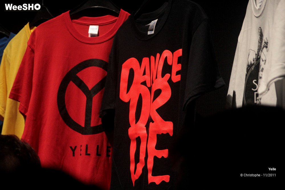 2/50 photos du spectacle Yelle