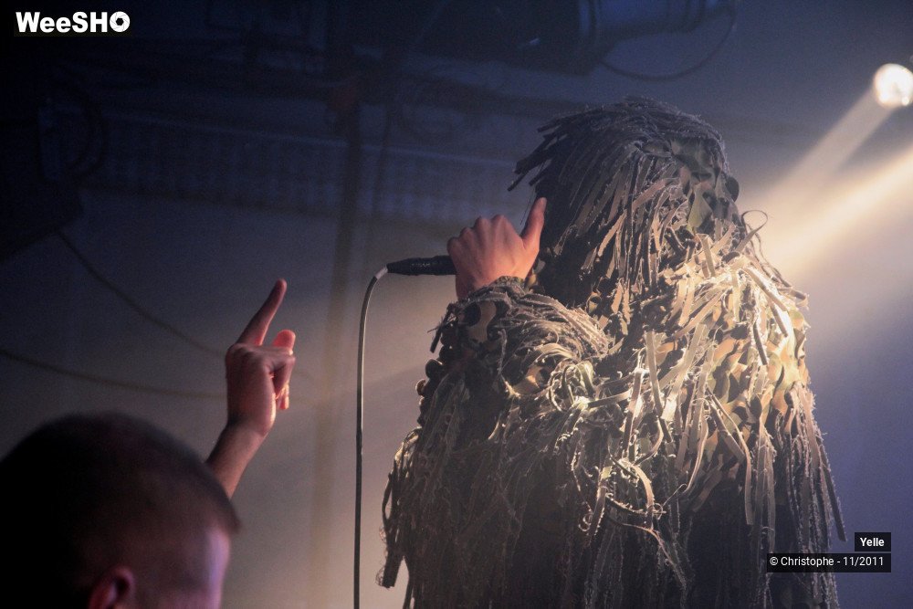 8/50 photos du spectacle Yelle