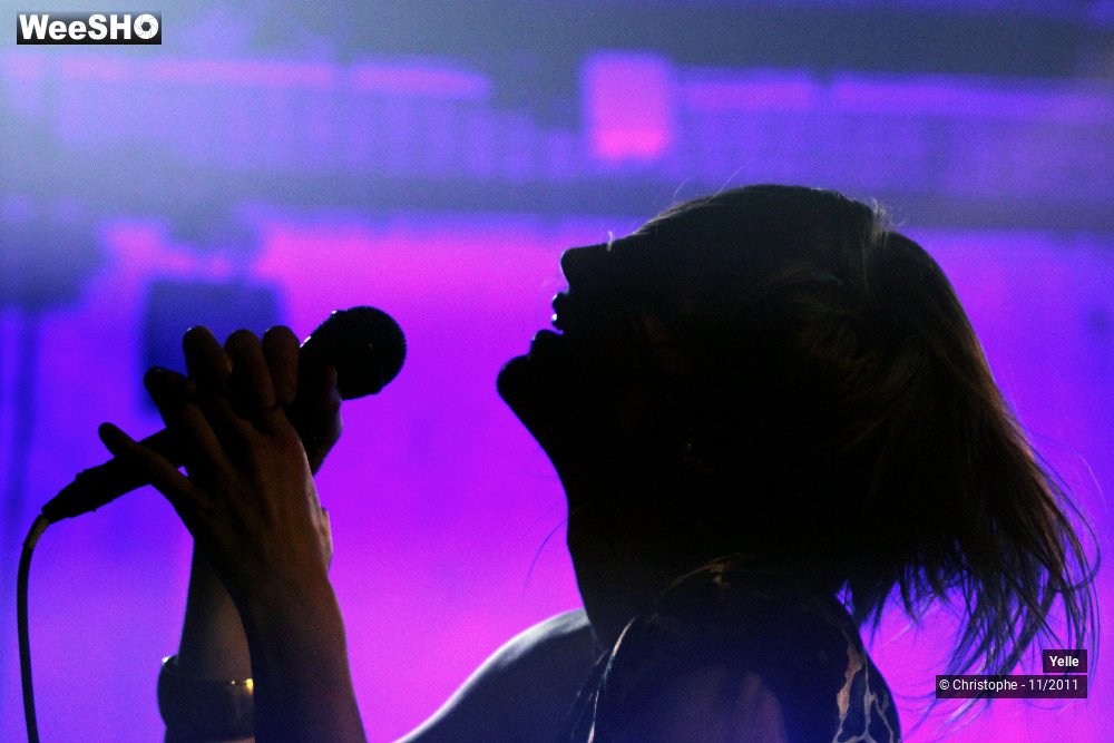 11/50 photos du spectacle Yelle