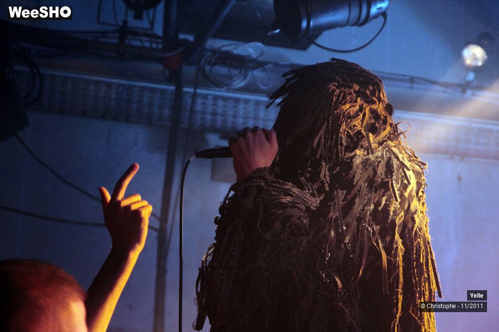 14/50 photos du spectacle Yelle