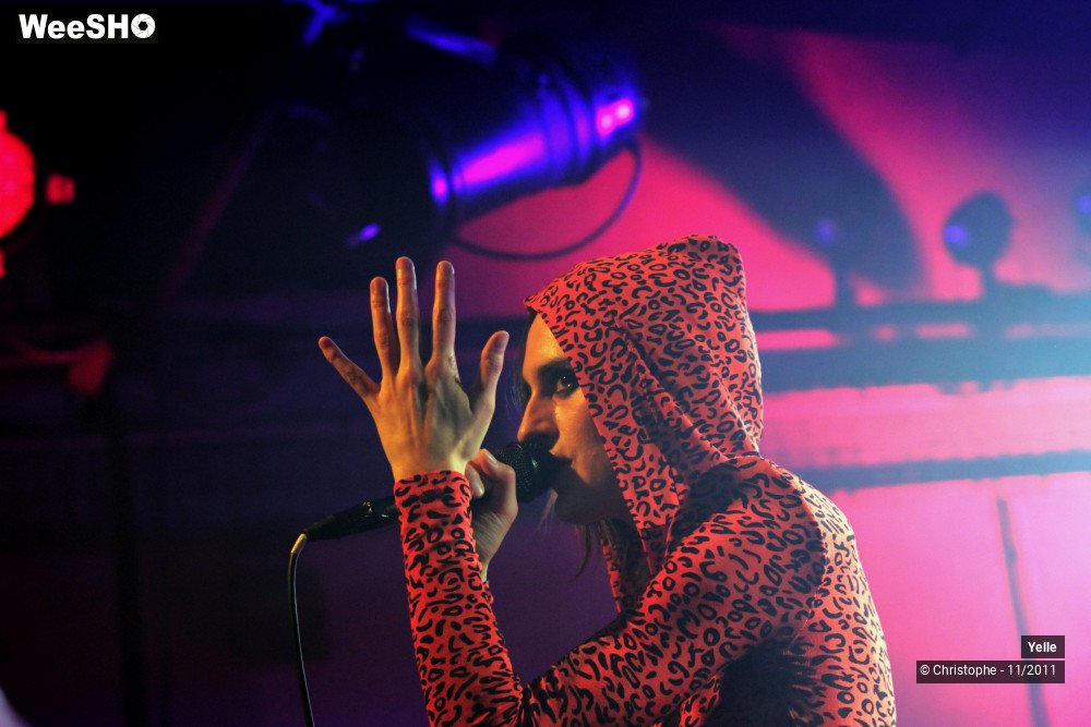 17/50 photos du spectacle Yelle