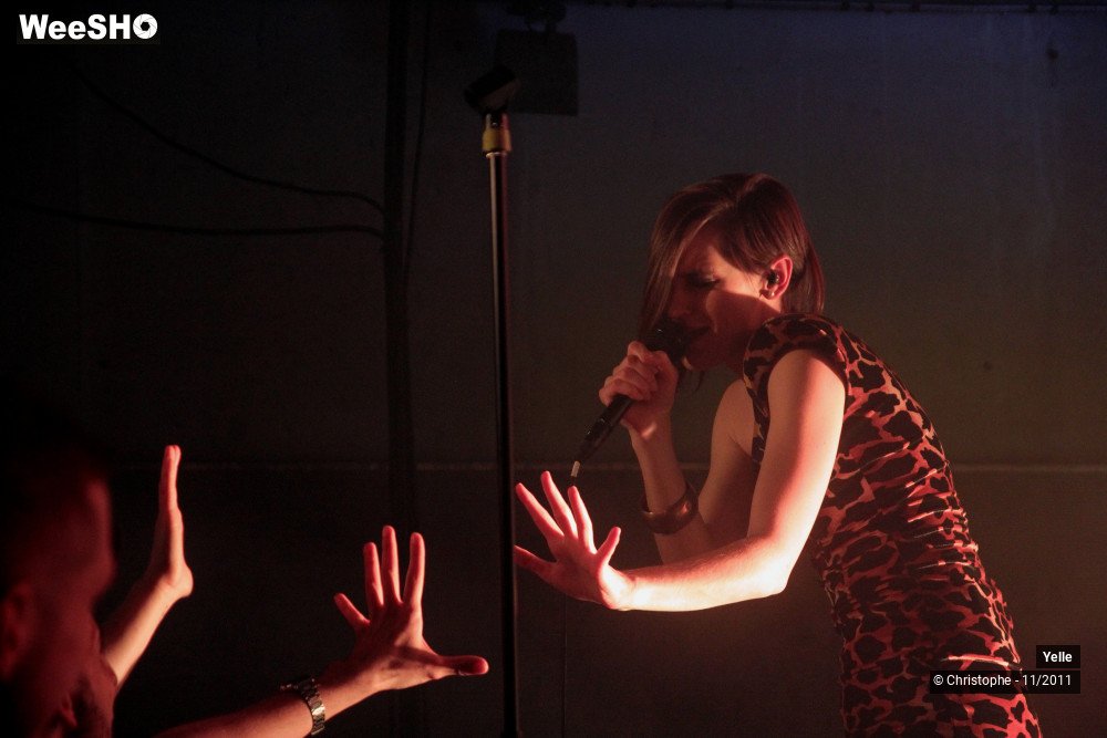 20/50 photos du spectacle Yelle