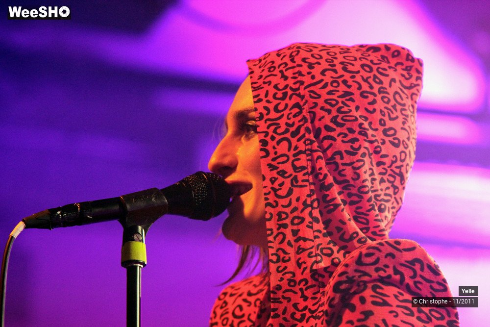 22/50 photos du spectacle Yelle