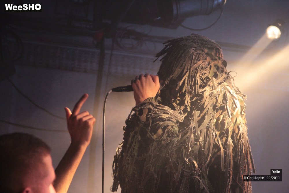 25/50 photos du spectacle Yelle