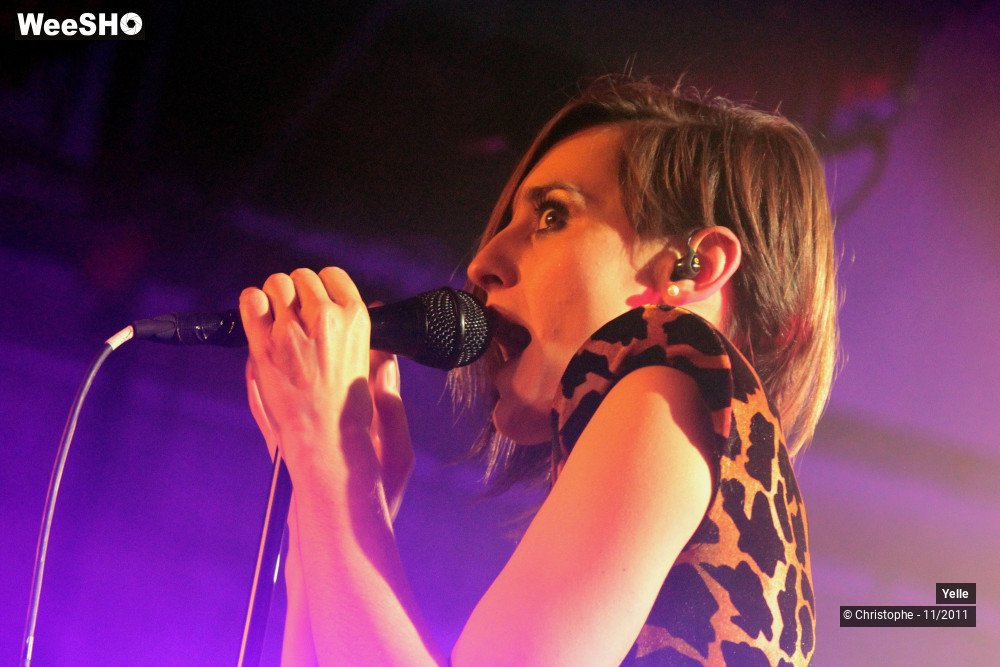27/50 photos du spectacle Yelle
