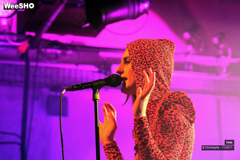 28/50 photos du spectacle Yelle