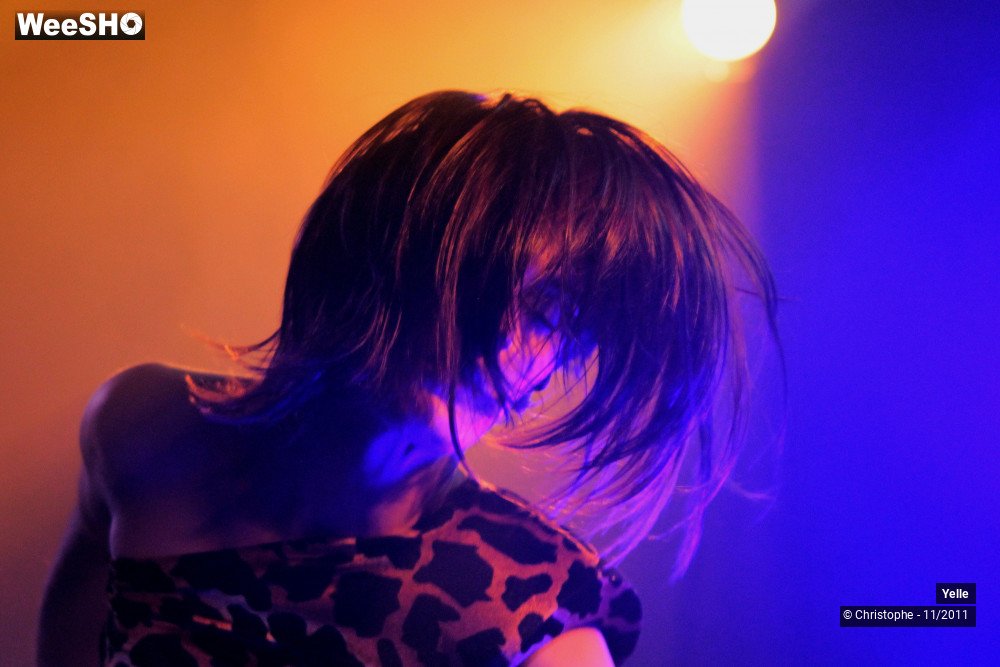 29/50 photos du spectacle Yelle