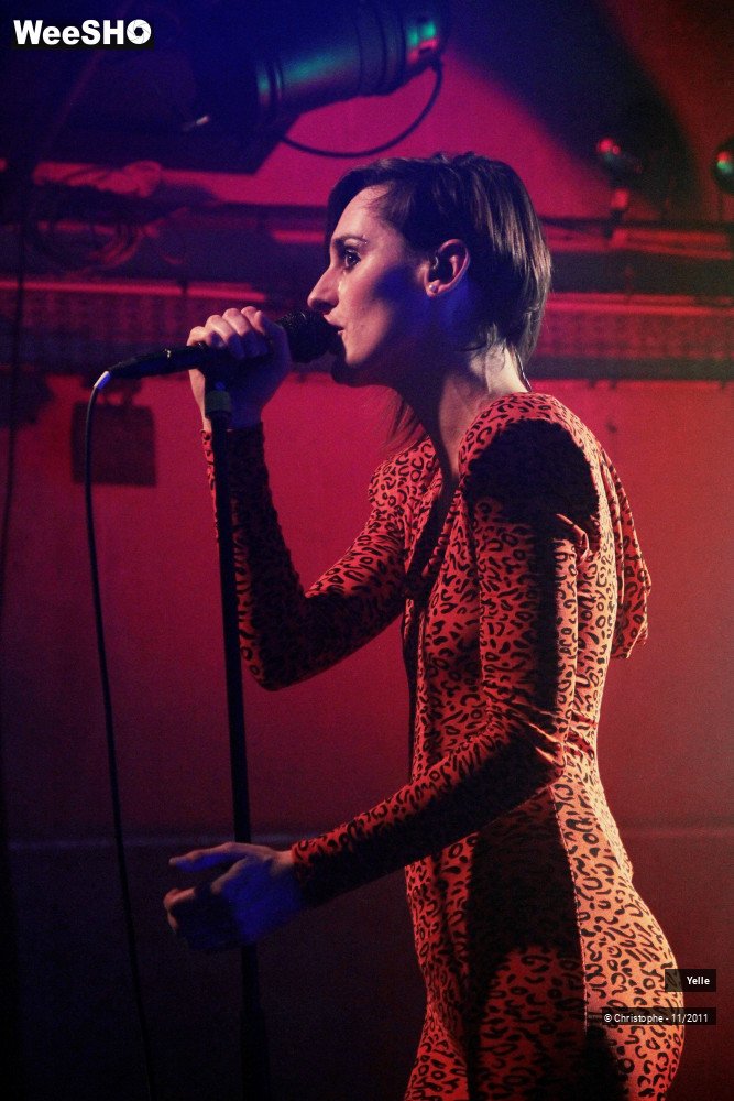 36/50 photos du spectacle Yelle