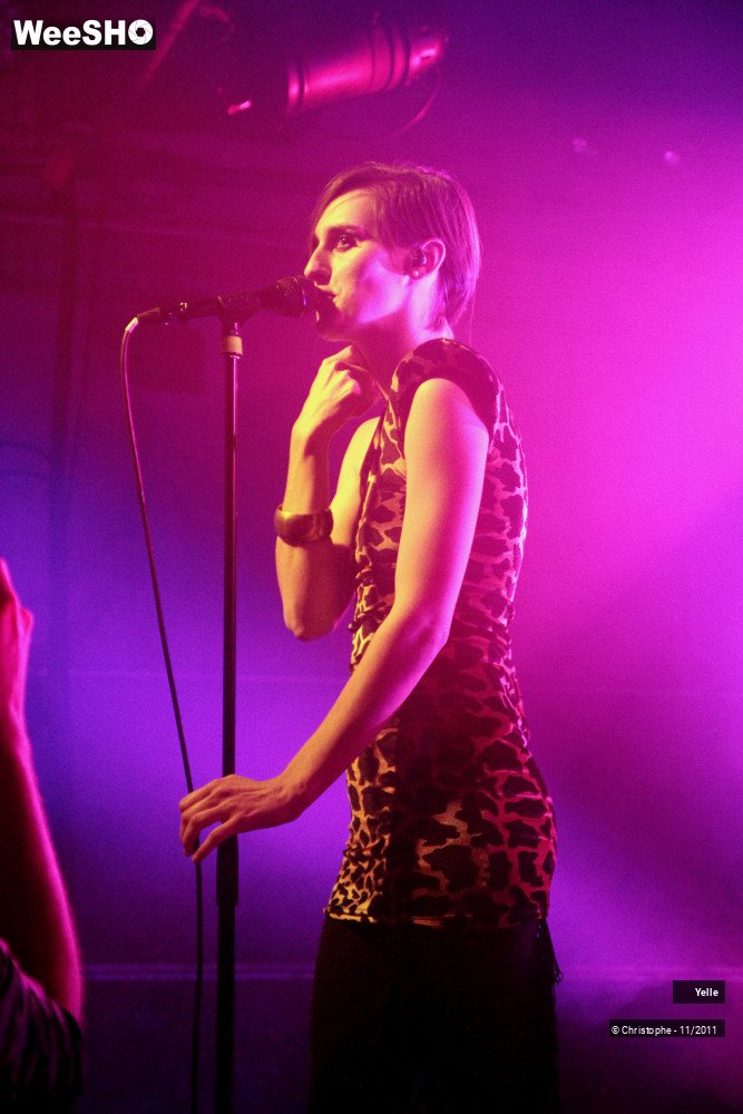 37/50 photos du spectacle Yelle