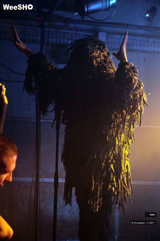 39/50 photos du spectacle Yelle