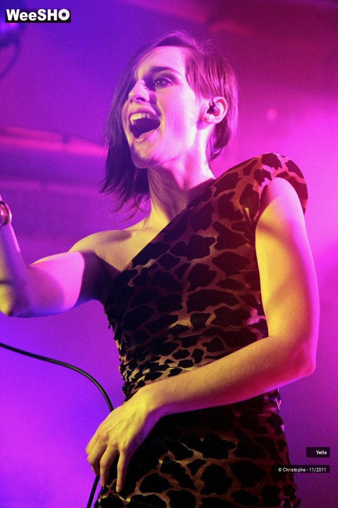 45/50 photos du spectacle Yelle