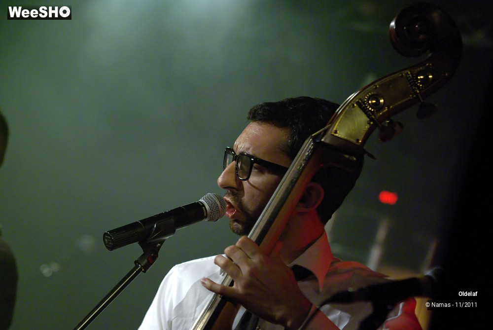 12/45 photos du spectacle Oldelaf