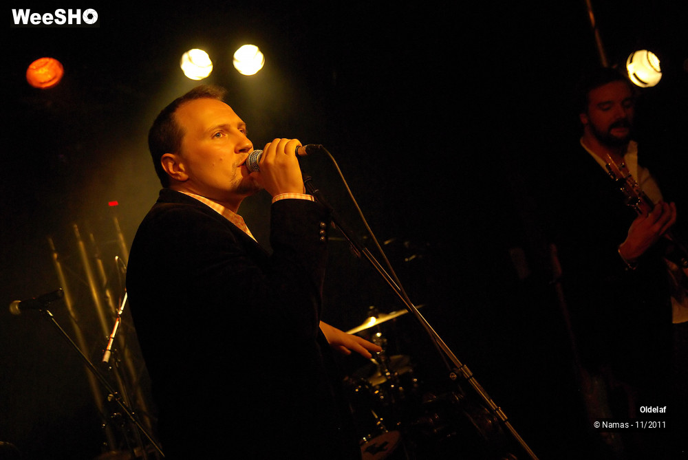 15/45 photos du spectacle Oldelaf