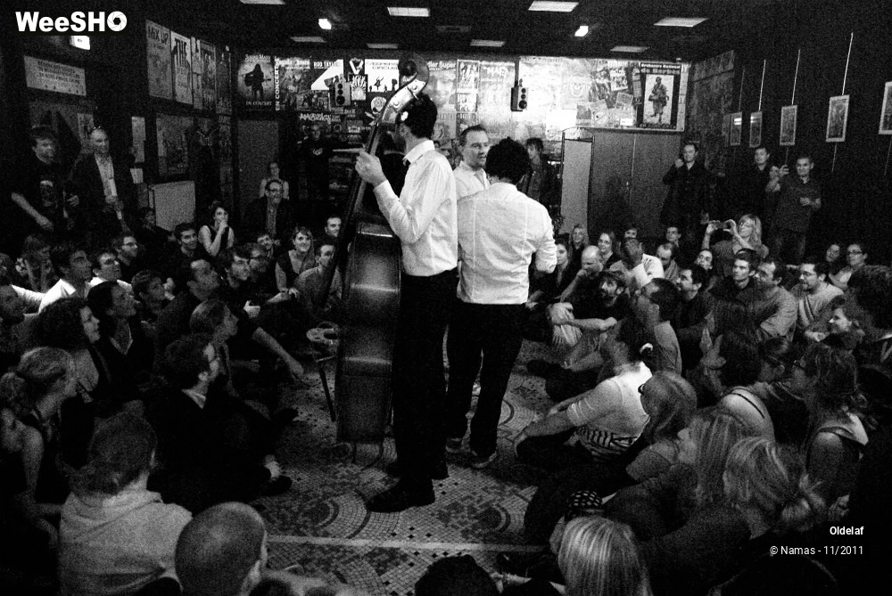 18/45 photos du spectacle Oldelaf