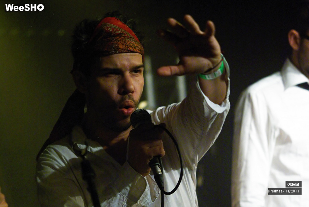 19/45 photos du spectacle Oldelaf