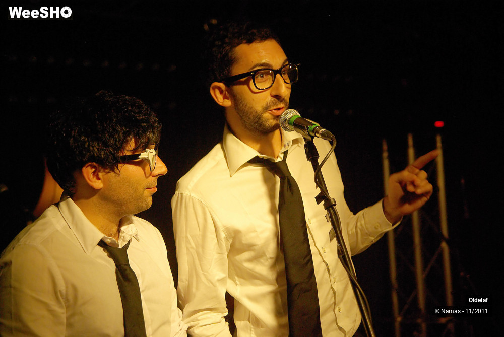 23/45 photos du spectacle Oldelaf