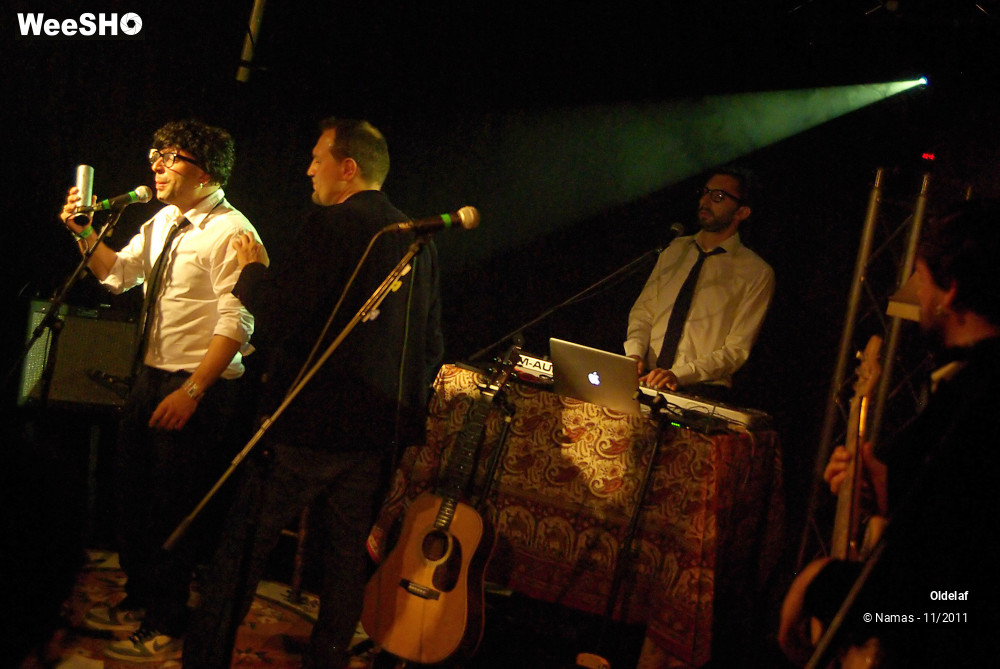 27/45 photos du spectacle Oldelaf