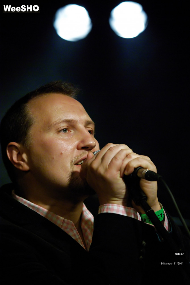 29/45 photos du spectacle Oldelaf