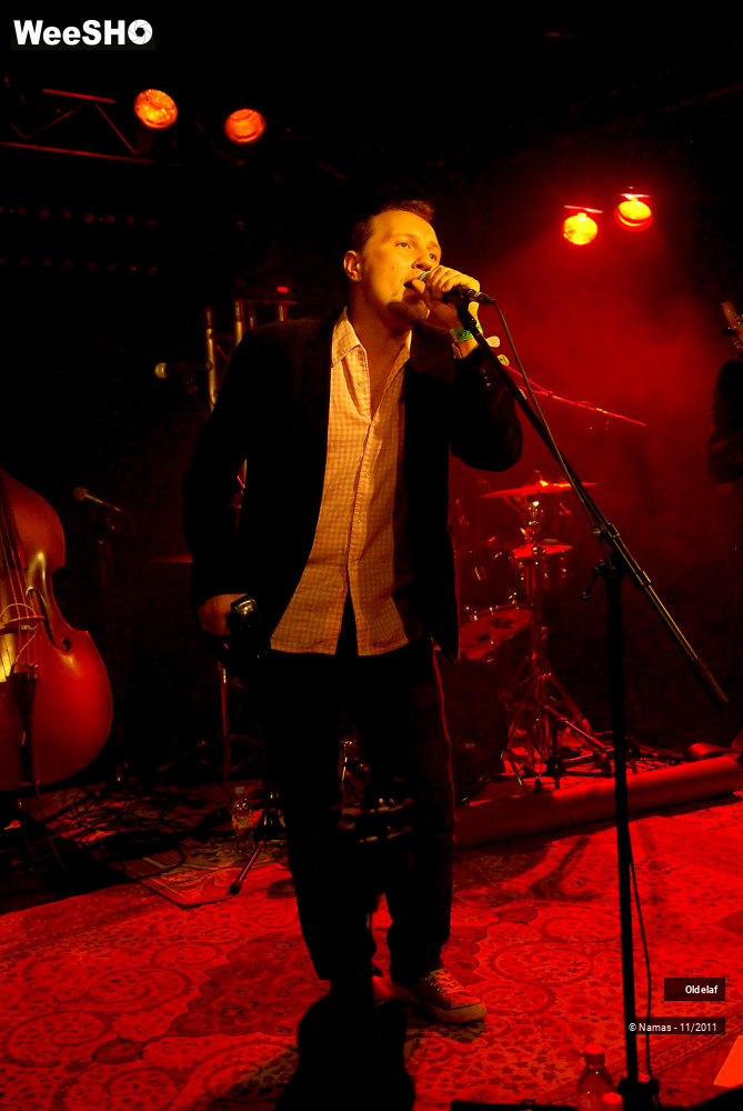 33/45 photos du spectacle Oldelaf