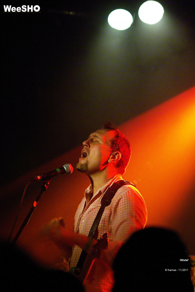 34/45 photos du spectacle Oldelaf