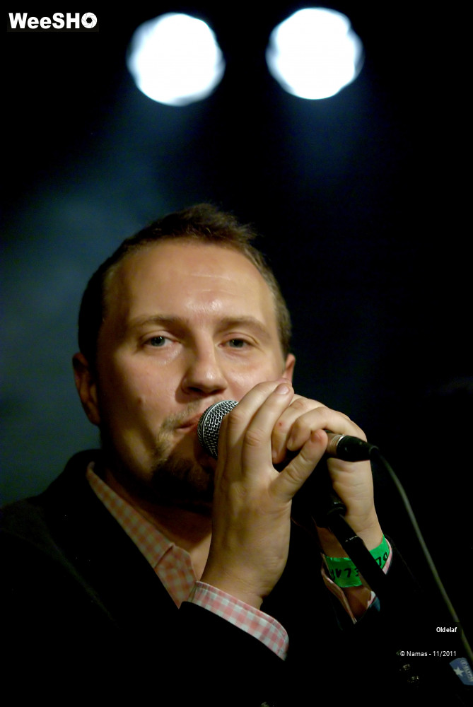 35/45 photos du spectacle Oldelaf