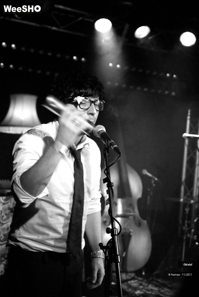 38/45 photos du spectacle Oldelaf