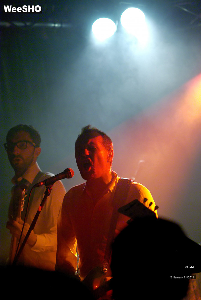 39/45 photos du spectacle Oldelaf