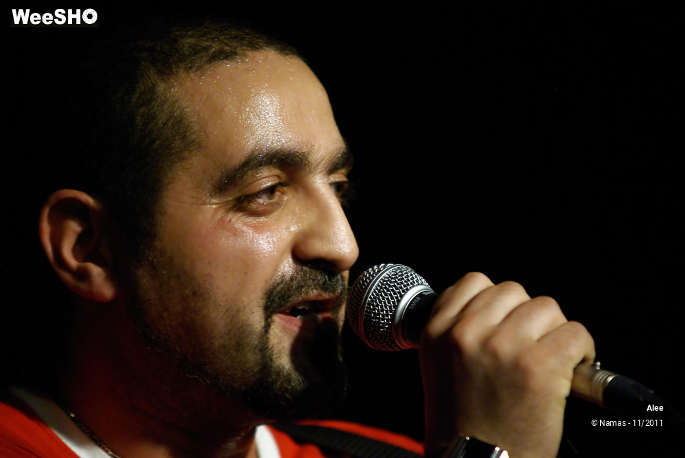 4/20 photos du spectacle Alee