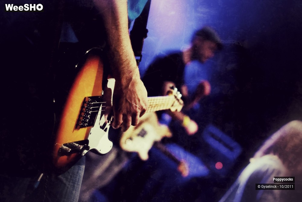 18/40 photos du spectacle Poppycocks