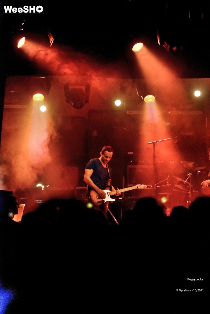 25/40 photos du spectacle Poppycocks