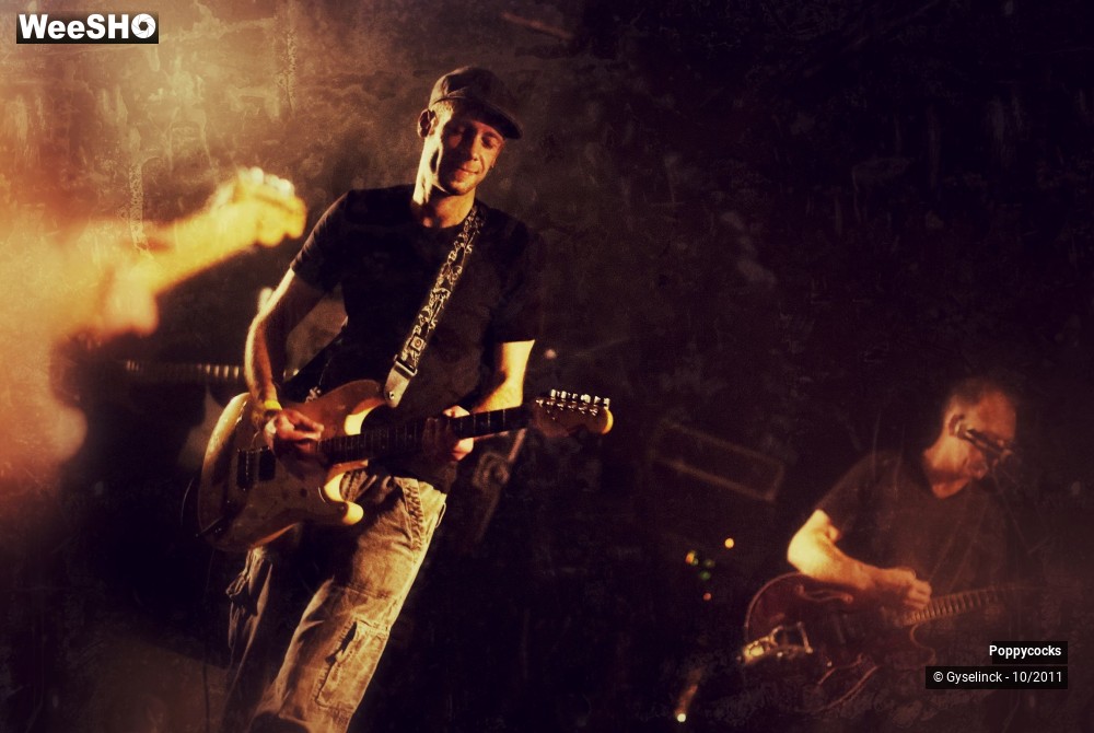 30/40 photos du spectacle Poppycocks