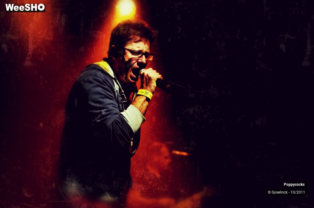 34/40 photos du spectacle Poppycocks