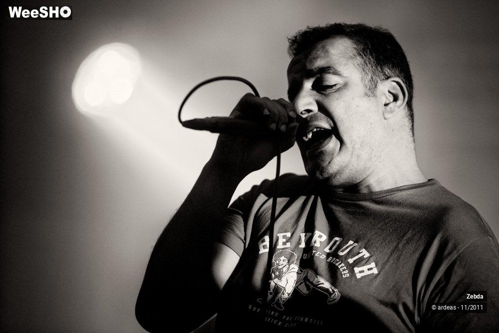 13/31 photos du spectacle Zebda