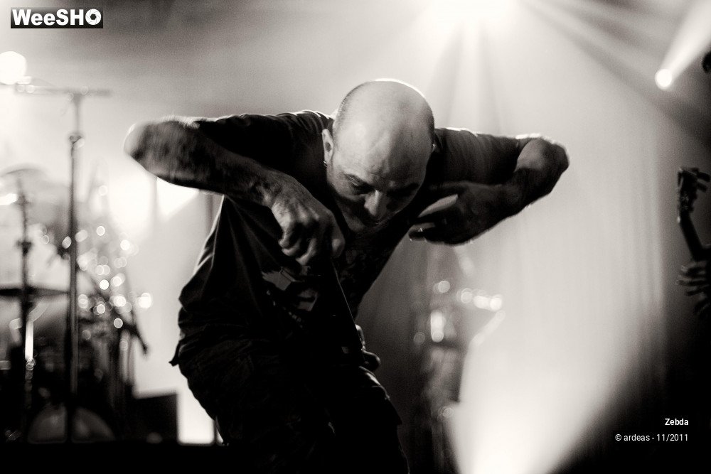 14/31 photos du spectacle Zebda