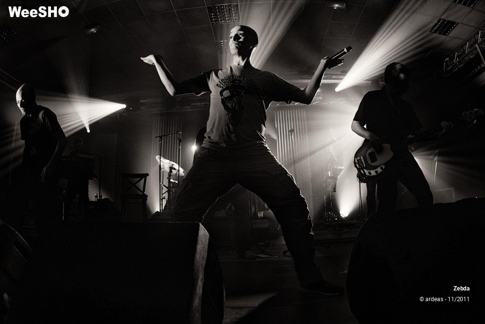 15/31 photos du spectacle Zebda