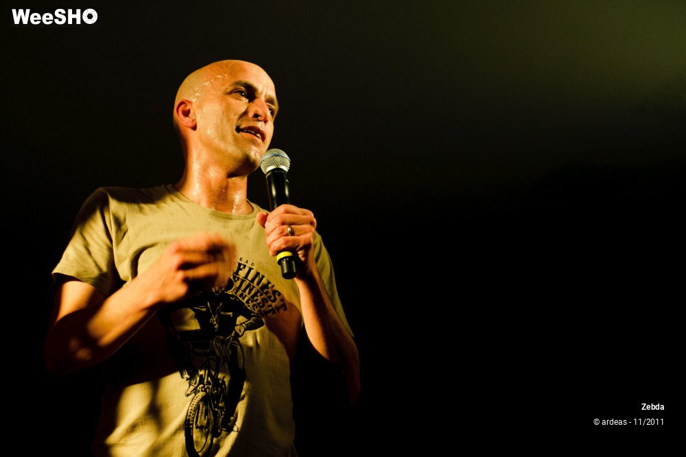 17/31 photos du spectacle Zebda