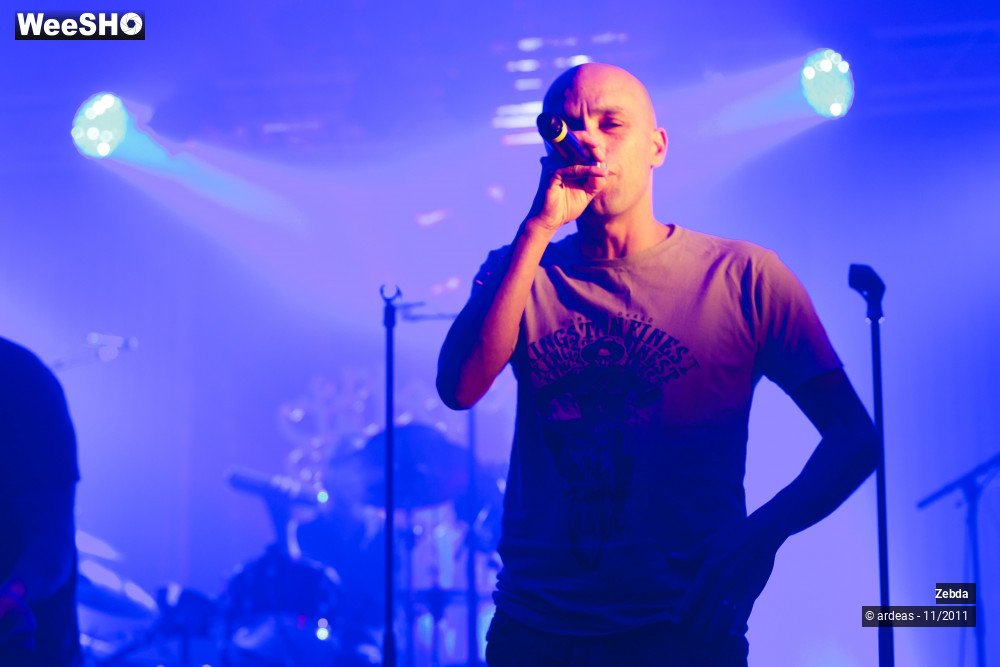 18/31 photos du spectacle Zebda