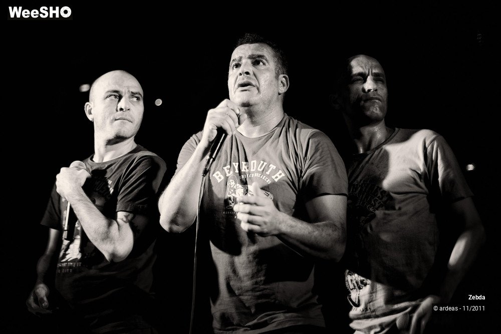 19/31 photos du spectacle Zebda