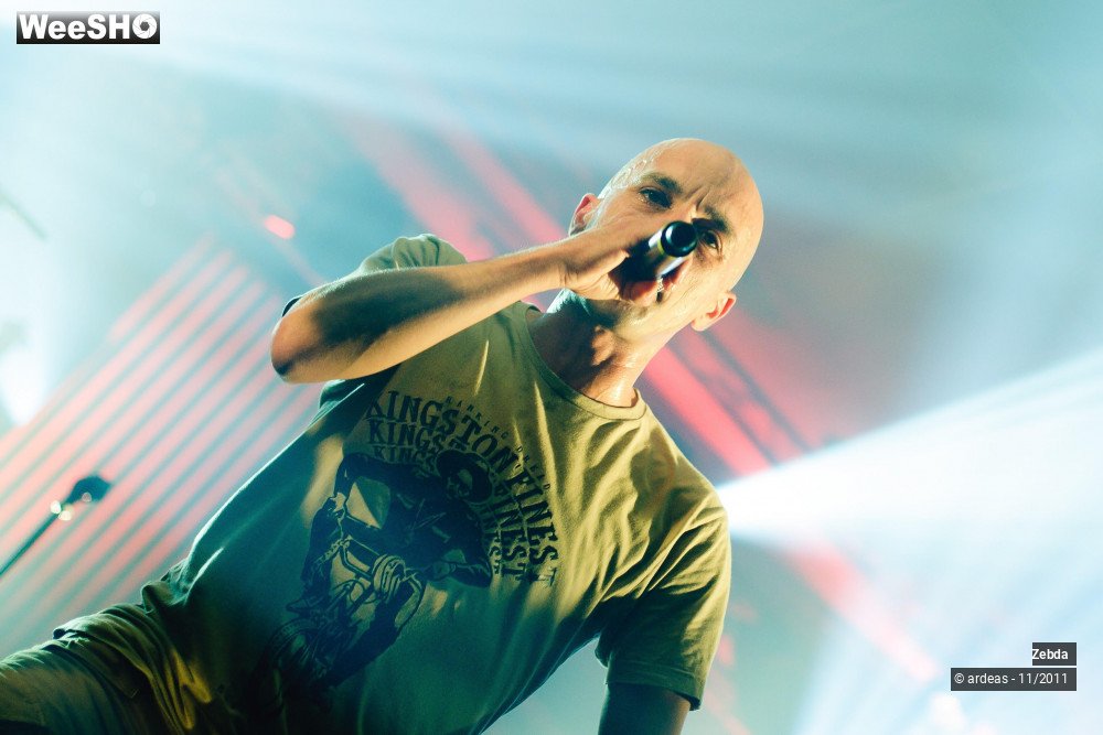 20/31 photos du spectacle Zebda